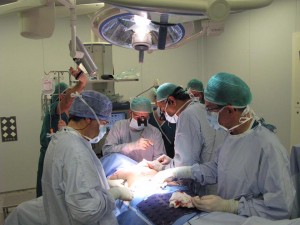 Live surgery San Sebastian October 2016